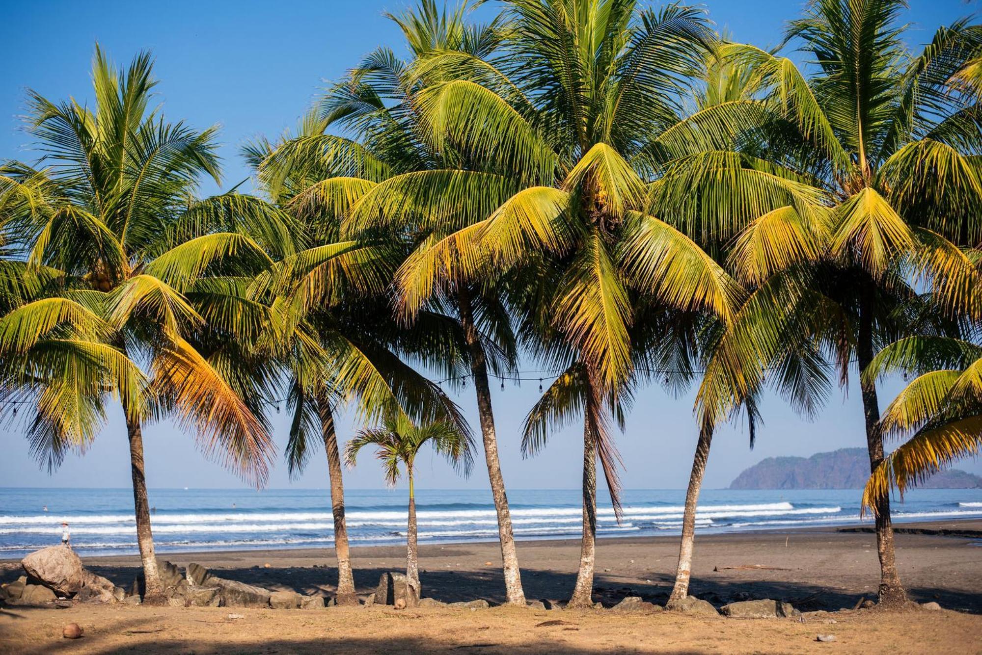 Beach Break Resort جاكو المظهر الخارجي الصورة