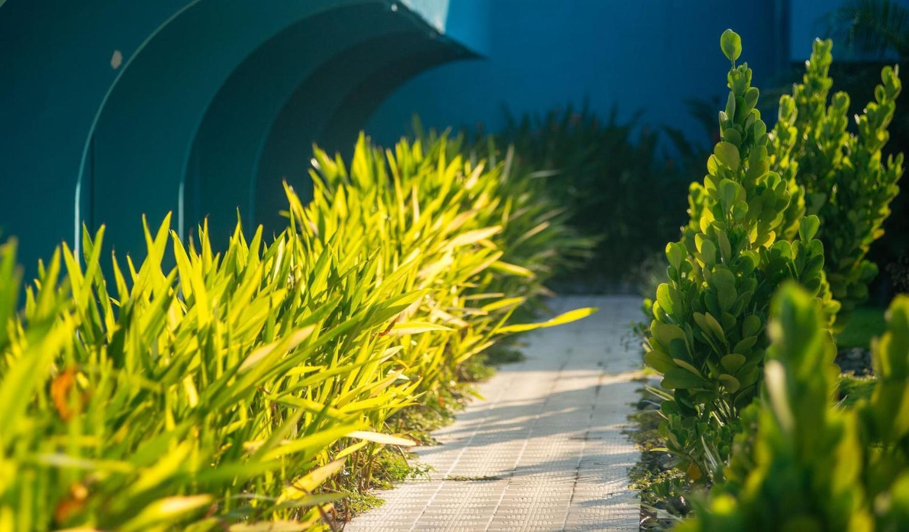 Beach Break Resort جاكو المظهر الخارجي الصورة